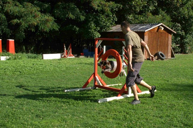 agility 2011-08
